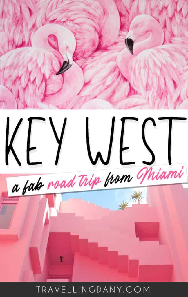 All the best Miami to Key West stops you should add to your itinerary on a romantic trip to Florida! Are you planning a US spring trip? How about a miami to Key West road trip? Find out a lot of interesting travel ideas and insider tips! | #florida #keywest #usa