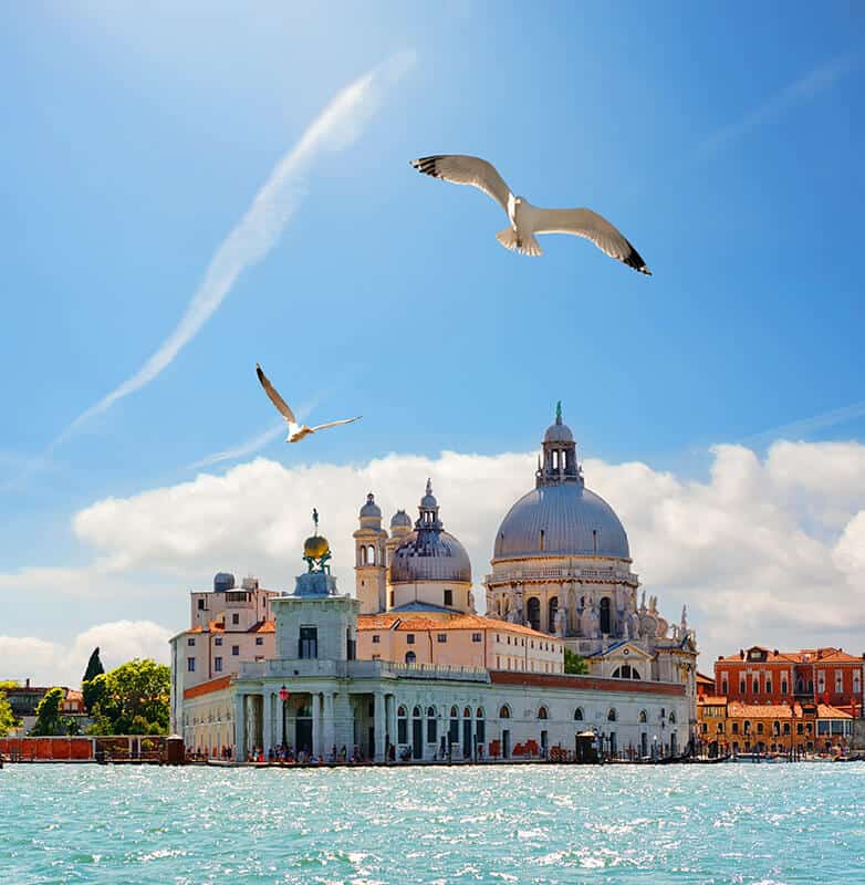 Gabbiani in volo sulla laguna veneziana in una mattina soleggiata