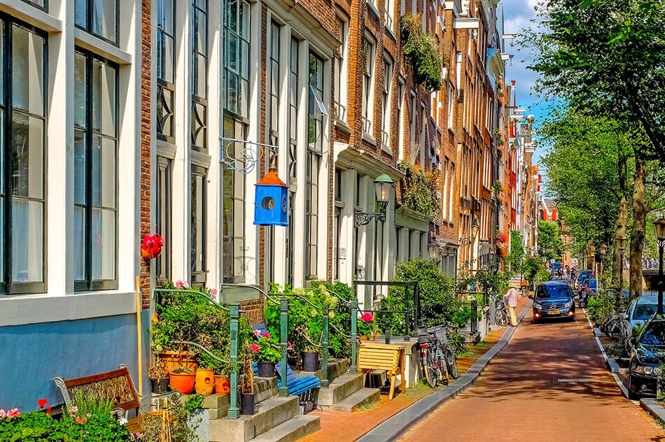 Una delle coloratissime strade nel quartiere Joordan di Amsterdam con molte piante in vaso, un viale alberato e una casetta per uccelli blu