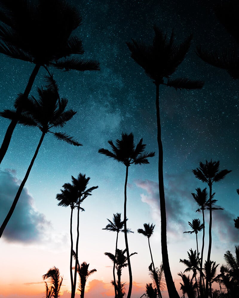 Starry sky at Duke Kahanamoku beach with silhouettes of palm trees