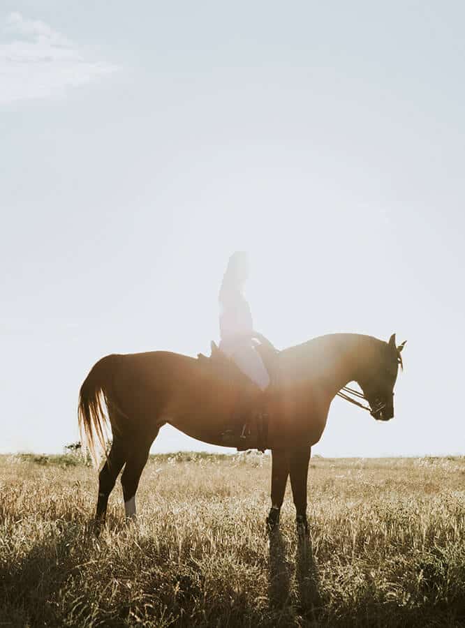 Donna a cavallo in stile inglese al tramonto, in un castello in Irlanda