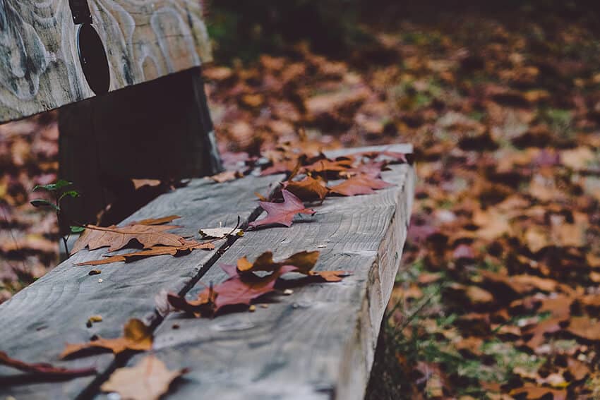 Fall trip ideas: a bench in the Adirondacks covered by red leaves