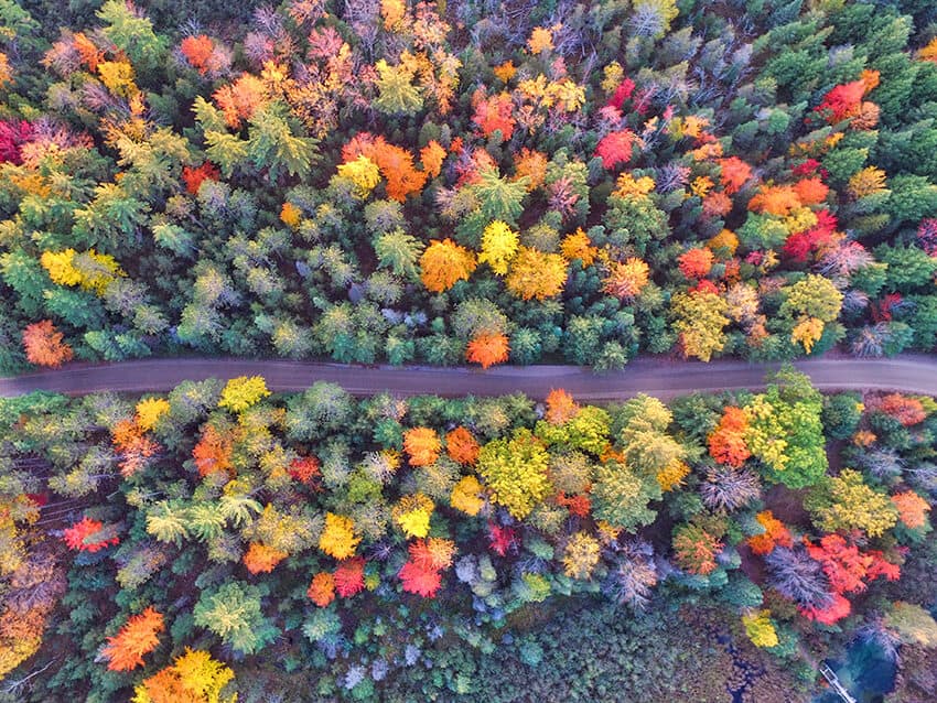 Road trip autunnale nello stato di New York - Foresta vista dall'alto