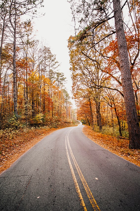 Strada solitaria durante un road trip americano in autunno