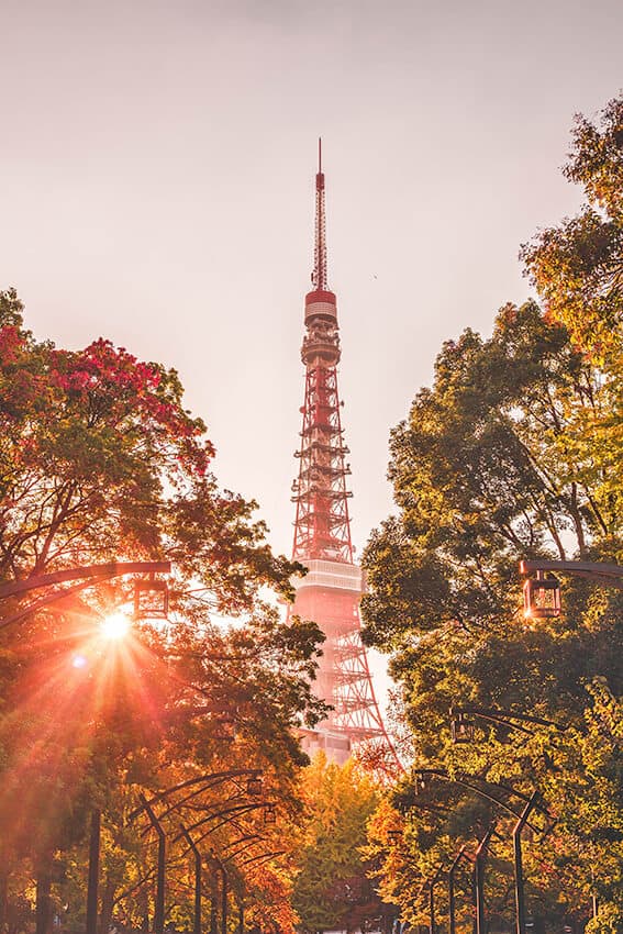 La Tokyo Tower in Giappone circondata da alberi in autunno