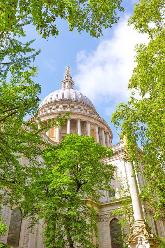 St. Pauls Cathedral in London - The dome surrounded by green trees