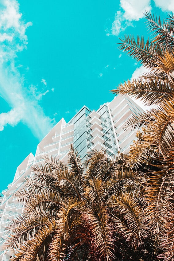 View of the buildings and palms on Ocean Drive, Miami