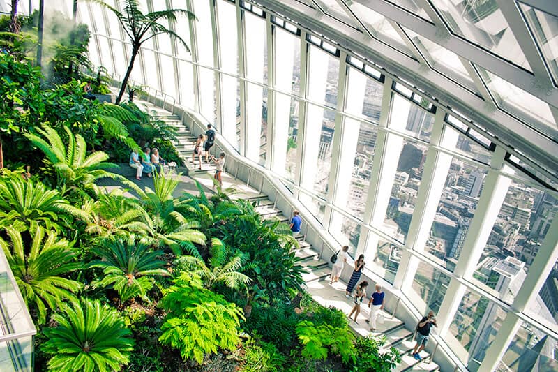 Panoramica dello Sky Garden per vedere Londra dall'alto