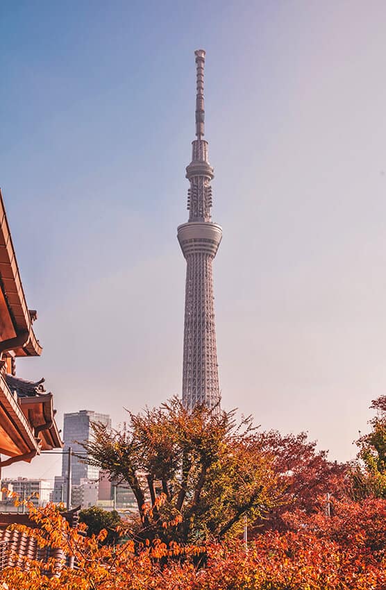 Tokyo Skytree in Japan in autumn
