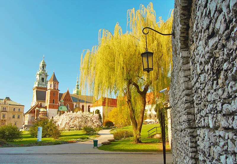 Fall foliage in Krakow (Poland)