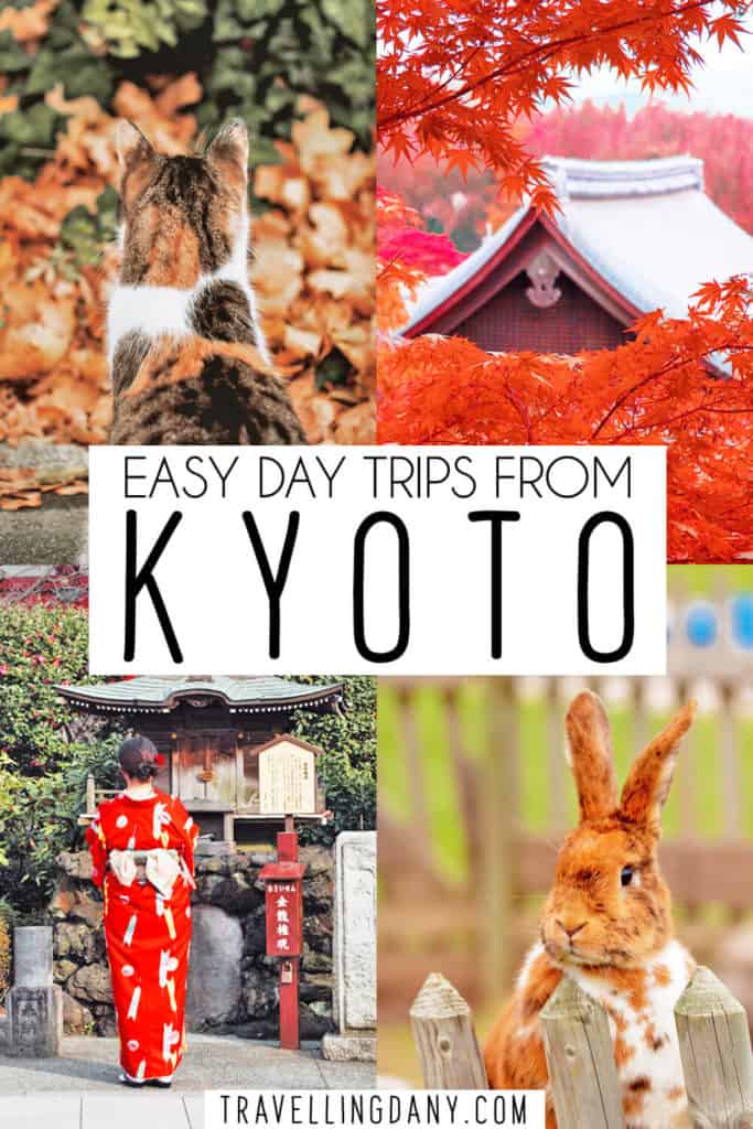 Plan 15 easy day trips from Kyoto on your own! This Kyoto travel guide is perfect if you don't have a big budget or if you're exploring as a solo female traveler. It includes highlights like the Cat Station in Japan, Rabbit Island, romantic destinations and hidden gems in Japan! | #travel #japan