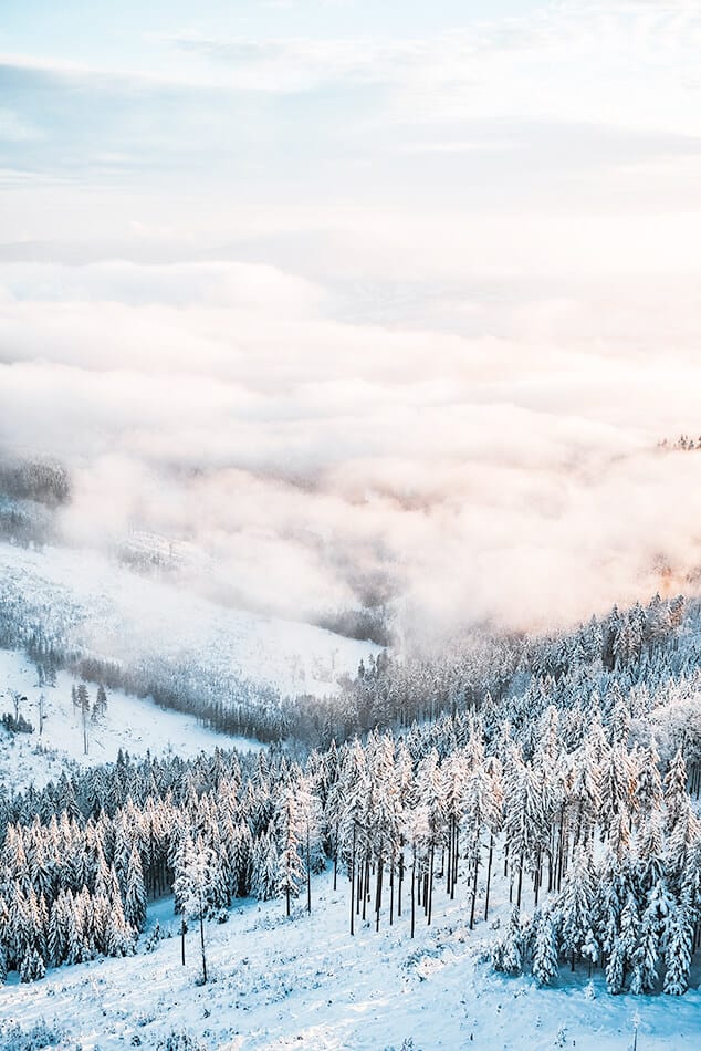Snowy forest in Norway in winter