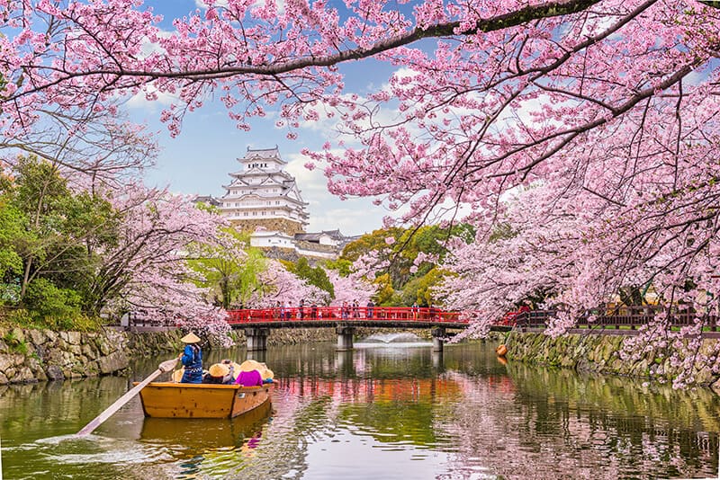 Himeji Castle cruise in sping is one of the best day trips from Kyoto
