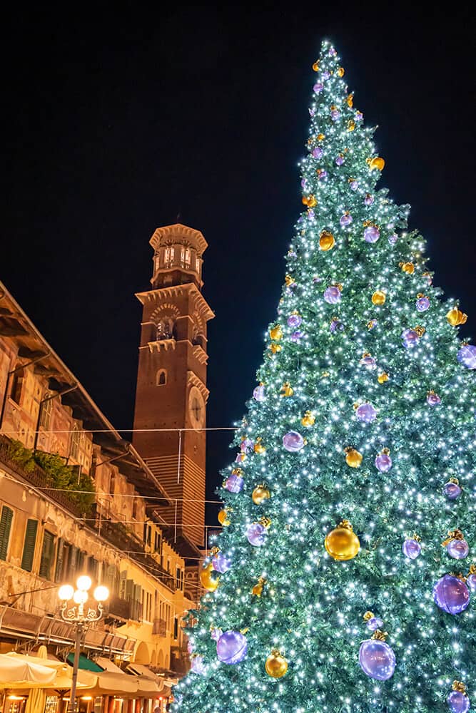 Big Christmas tree in Verona at Christmas