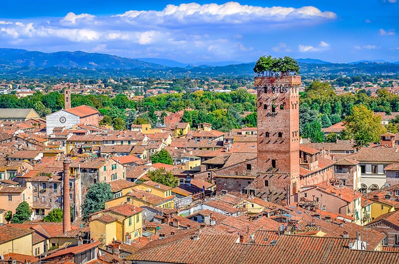View of Torre Guinigi and Lucca while visiting Italy in summer