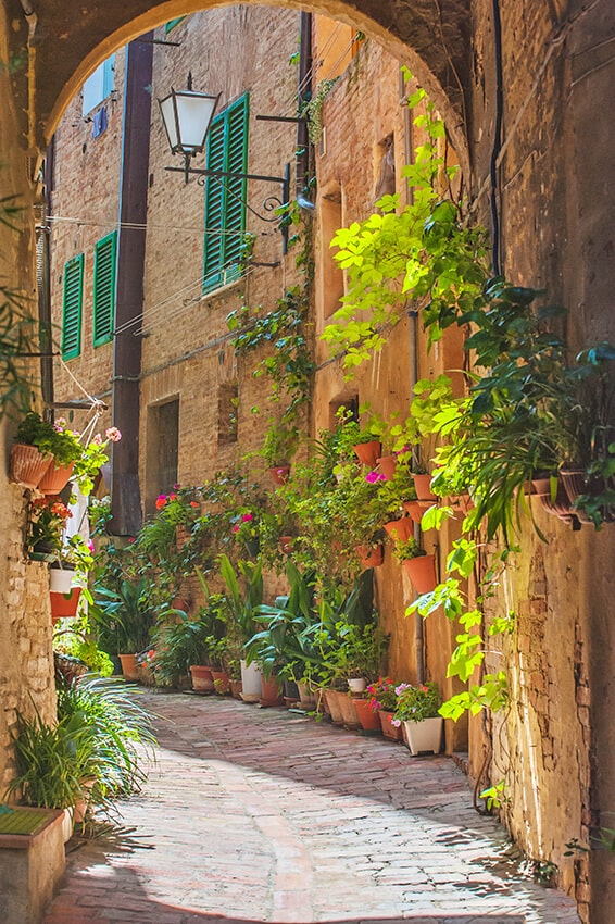 Stone alleyway in a narrow street in Volterra with flowers