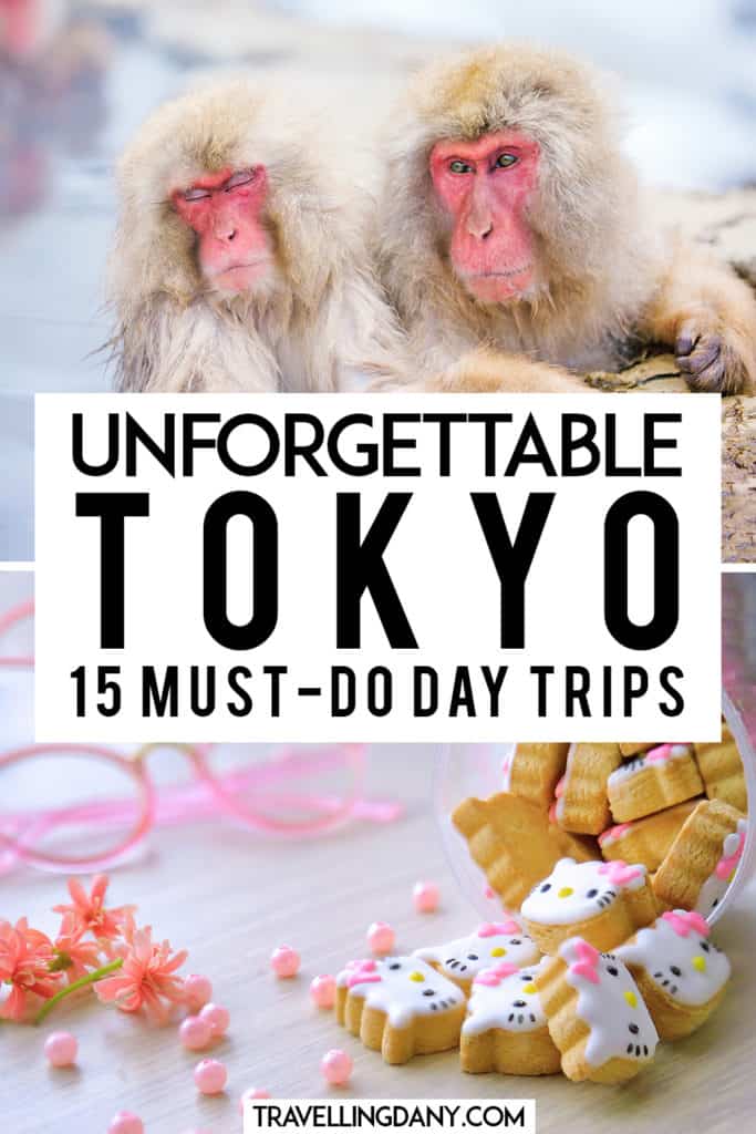 15 of the best day trips from Tokyo you won't forget! Jigokudani Monkey Park, Cat island, but also hot springs, hiking Mount Fuji, foodie day trips in Japan, a super cheap day trip to Kyoto and lots of interesting info! Are you ready to discover the best Japan day trips from Tokyo? | #japan #traveljapan #wanderlust