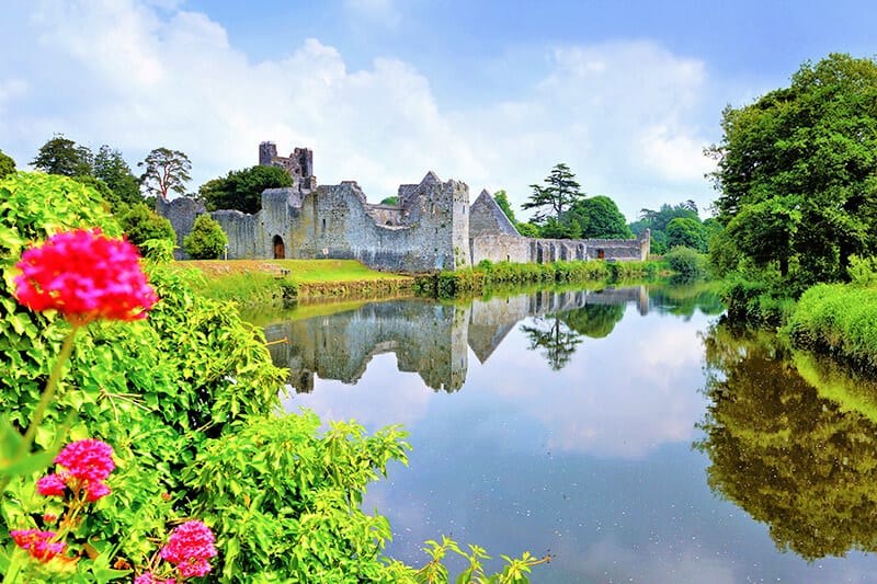 Rovine del Desmond Castle in Irlanda in primavera