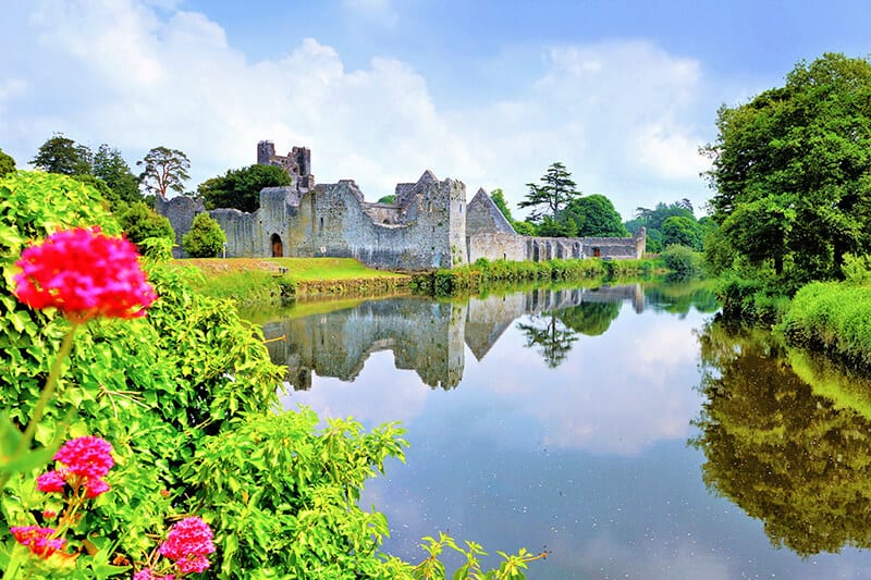 Ruins of Desmond Castle in Ireland in spring