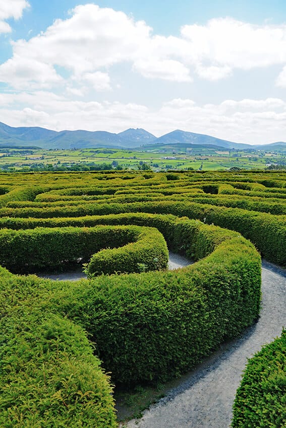 Il labirinto all'Abbazia di Dunbrody in Irlanda
