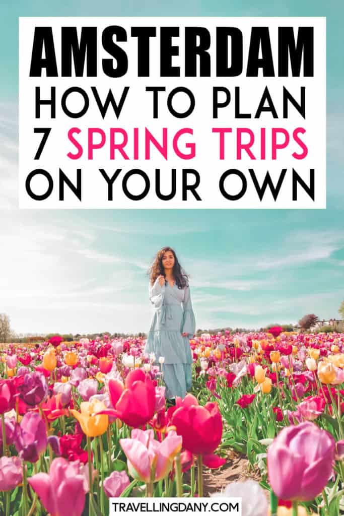 Are you planning to visit Amsterdam in spring and don't know what to see? Let me show you the very best 7 day trips from Amsterdam by train that you can plan on your own in spring! You'll be able to visit the gorgeous tulip fields in the Netherlands, drink the best Dutch beer or just explore the countryside without paying for an expensive tour!| #amsterdam #spring #netherlands