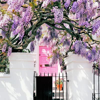 Things to do in spring in London: photos, ideas & packing!