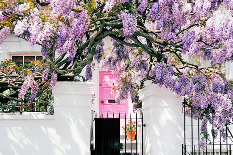 Things to do in spring in London: photos, ideas & packing!