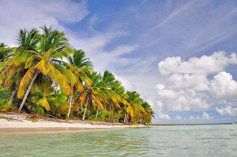 View of Hull Bay beach in St Thomas with palms and white sand