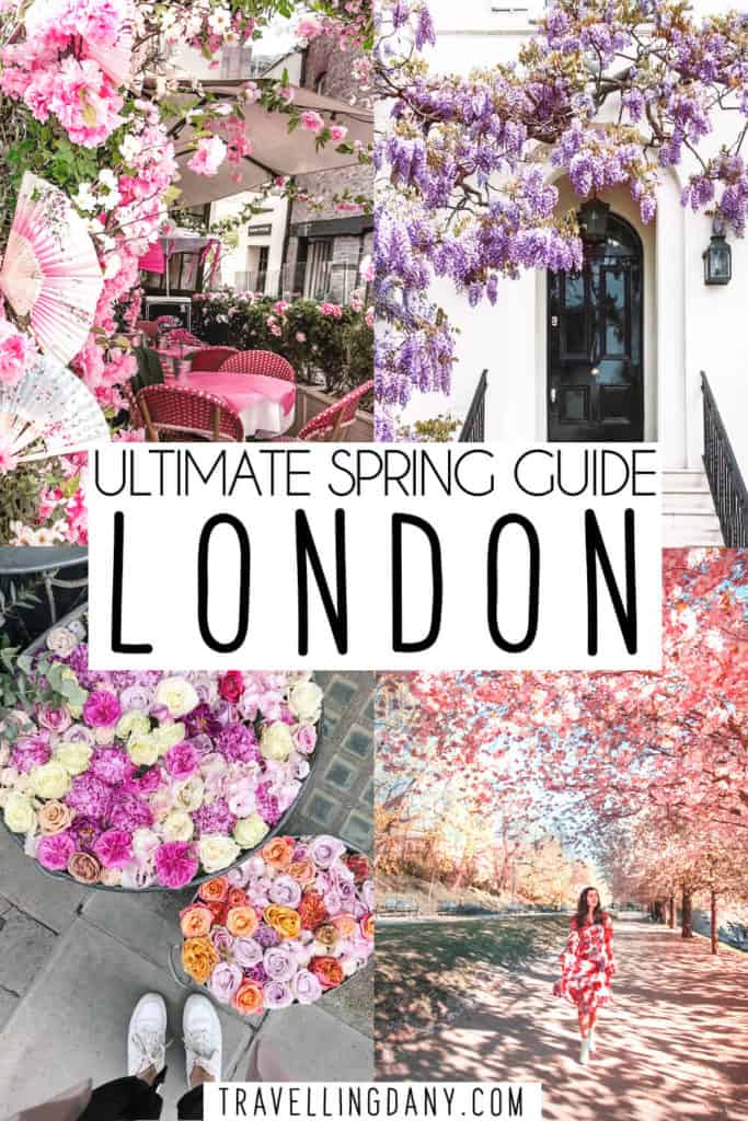 Ultimate guide to London in spring! Find all the best tips and info on packing for London in spring, finding the best wisteria in London, seasonal events, cherry blossoms and the London weather in spring. It includes great London pictures! | #london #uk #spring