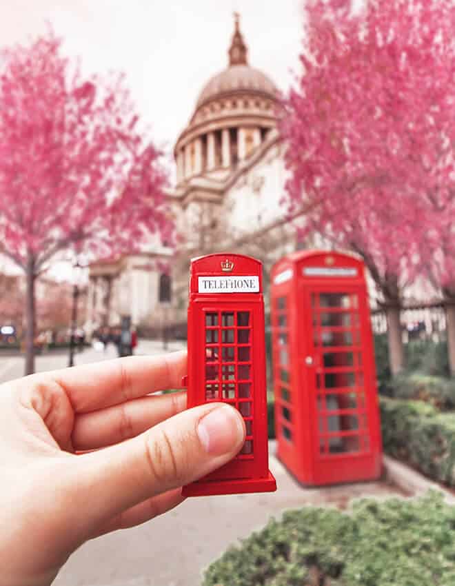Cabina telefonica londinese e alberi di ciliegio a St. Paul
