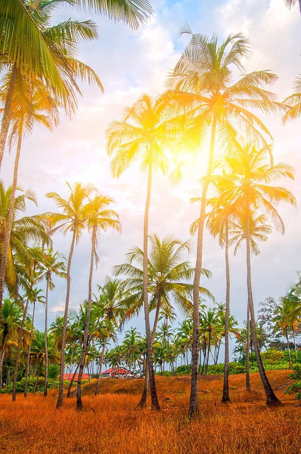 St Thomas beach in summer