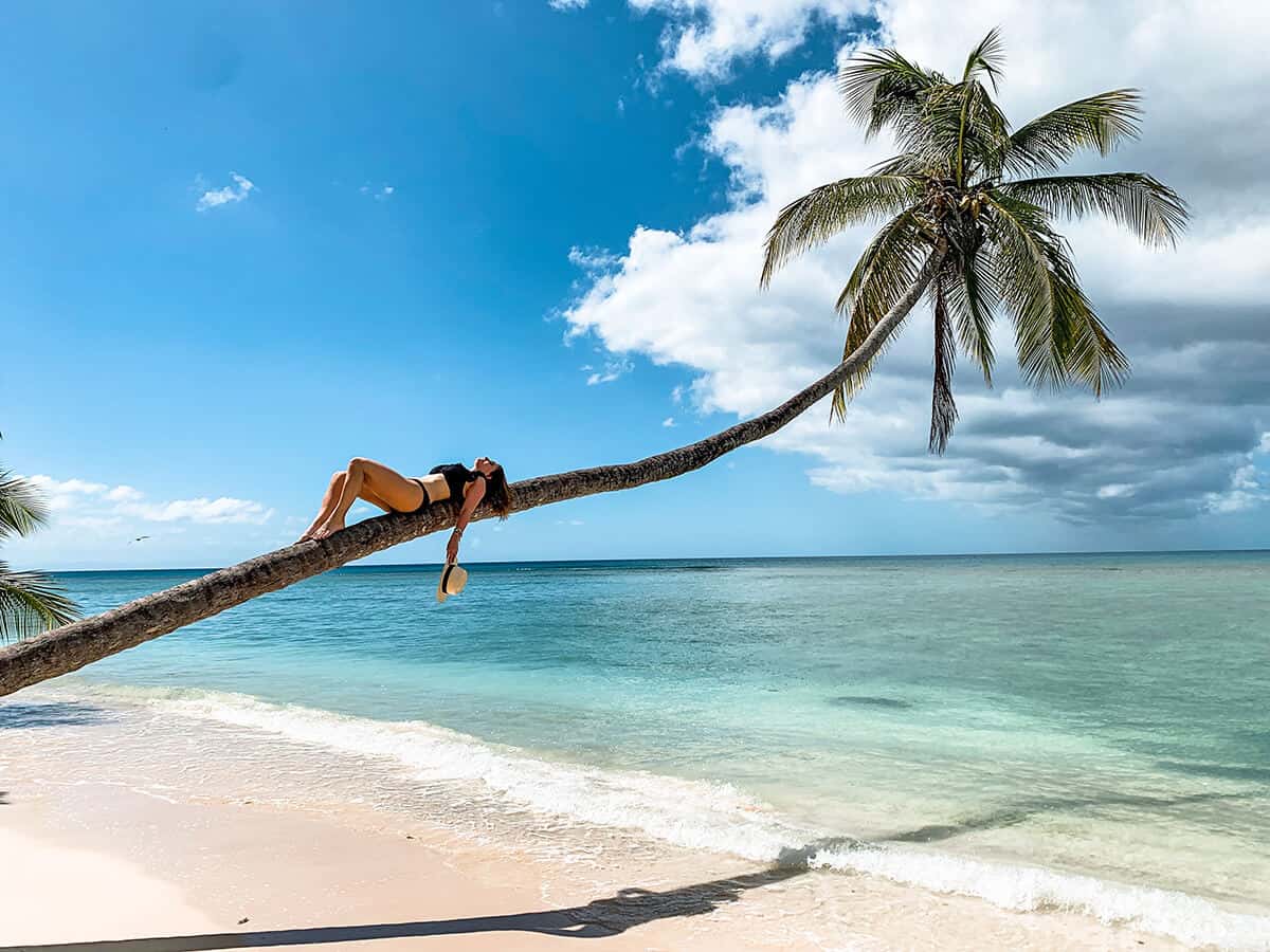 Woman laying on a palm in the Caribbean