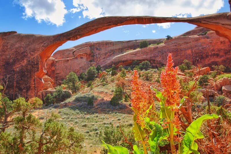 Landscape Arch hike at Arches national park on a Utah trip