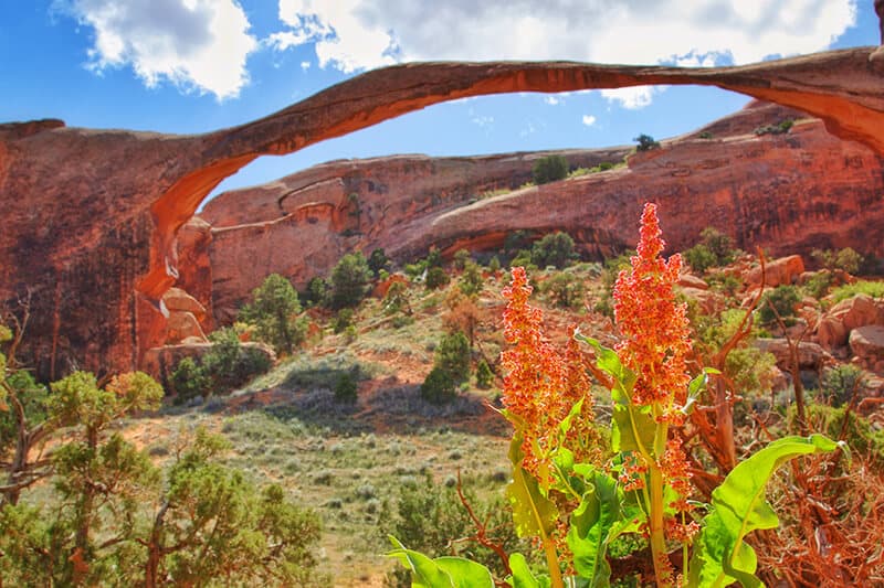 Landscape Arch ad Arches National park