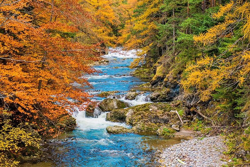 Fall foliage near a river in the Adirondacks region (USA)