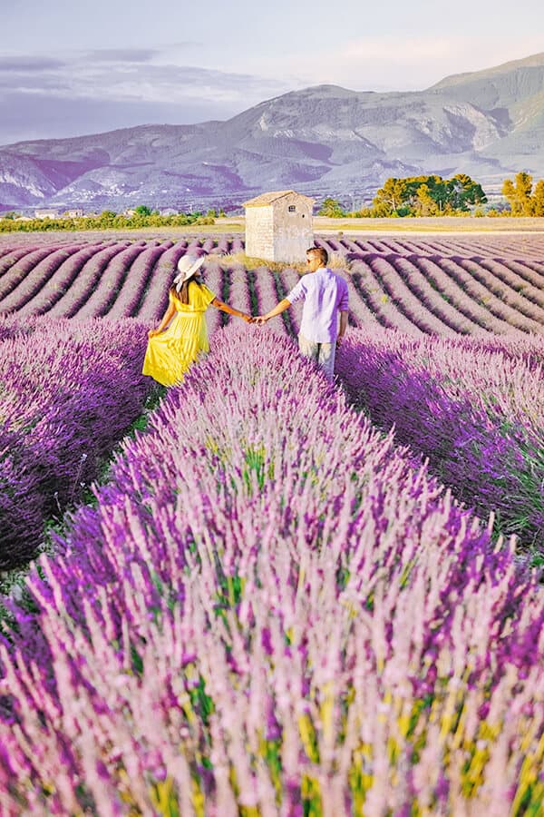 Happy couple in a lavender field