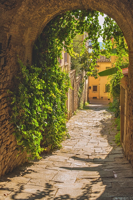 Stradina romantica in Toscana in primavera con edera che ricopre le case