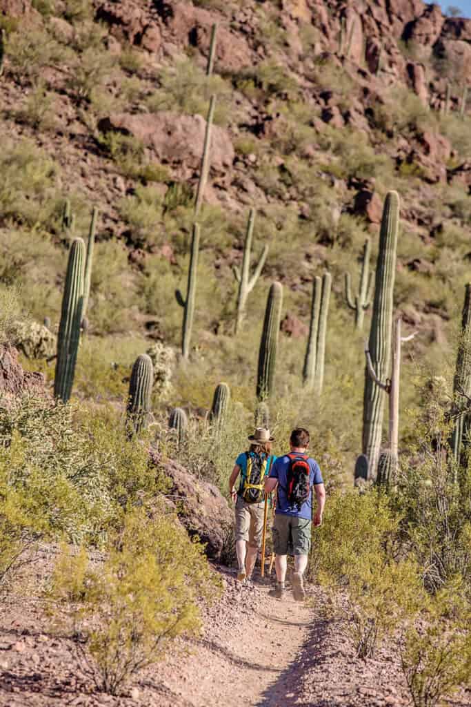 A couple hiking Sonora desert on a sunny summer day