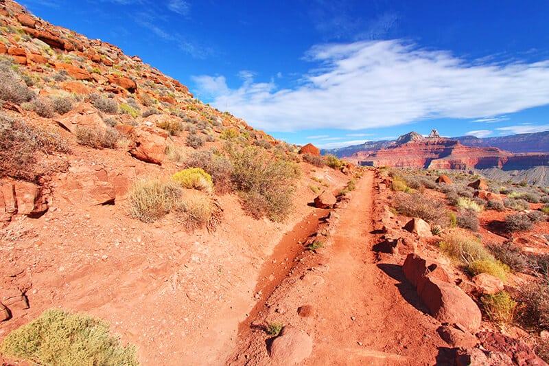 Strada sterrata in mezzo al deserto in Arizona