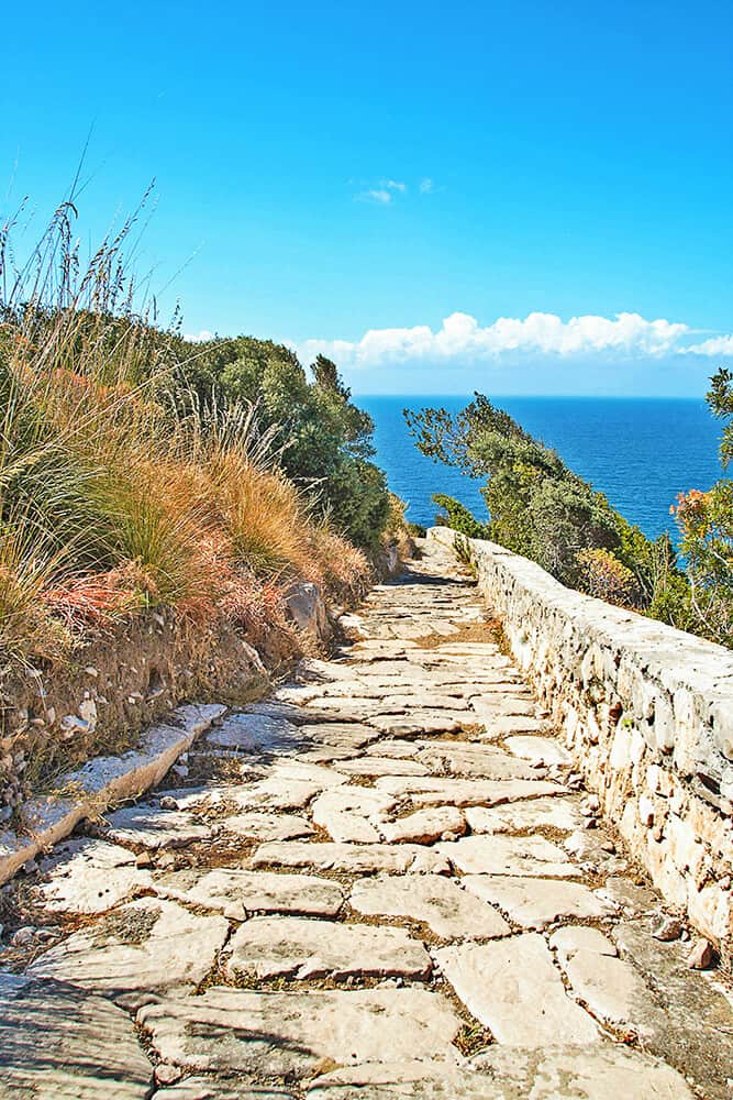 Sentiero in pietra tra cespugli di piante locali che porta al mare a Punta Campanella