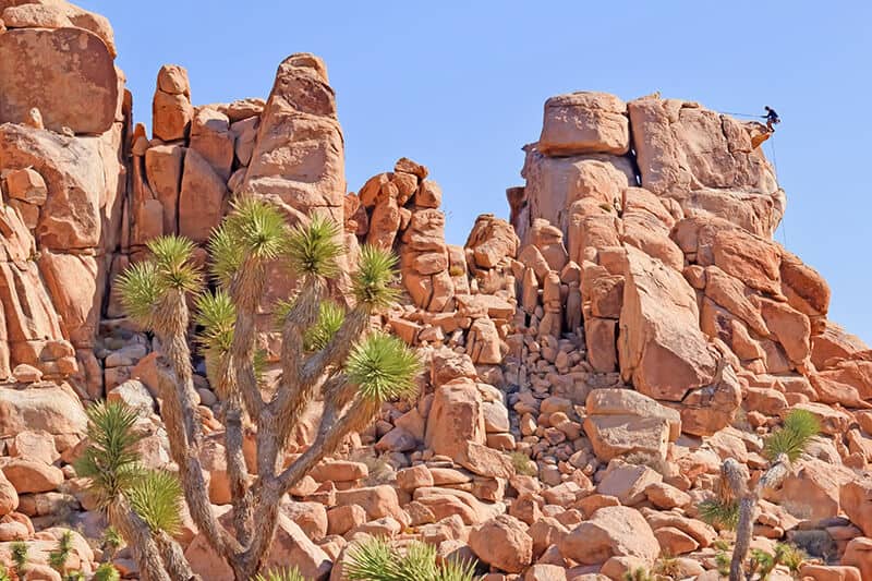 Arrampicata su roccia a Jumbo Rocks (California, USA)