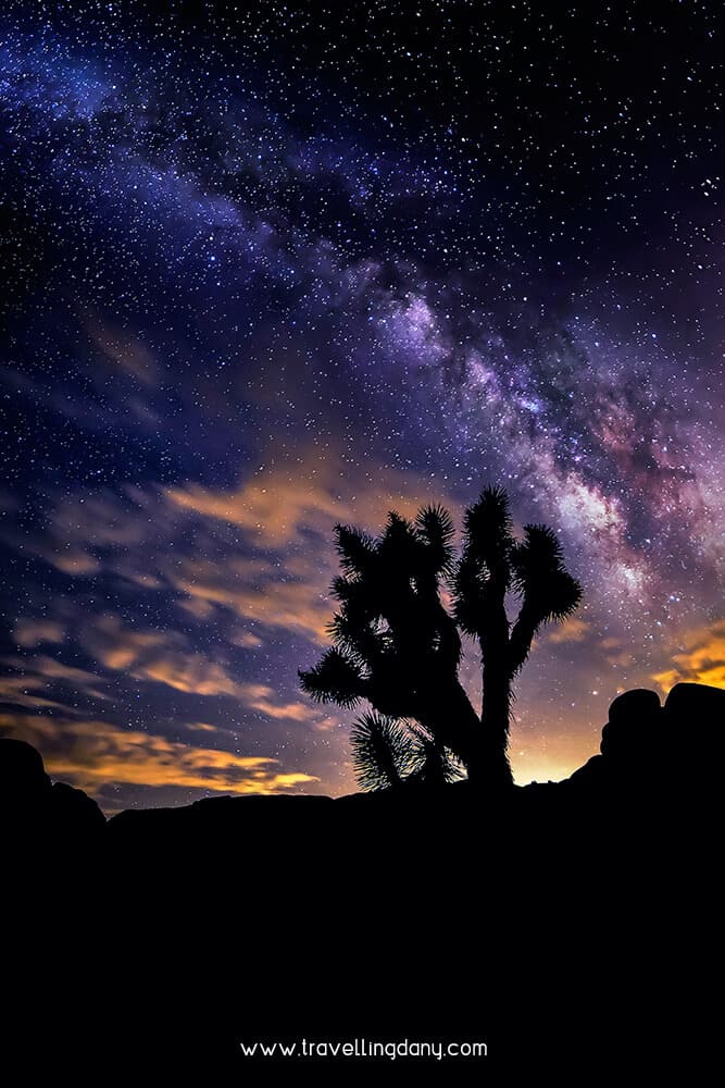 Milky Way and Joshua Tree silohuette at night