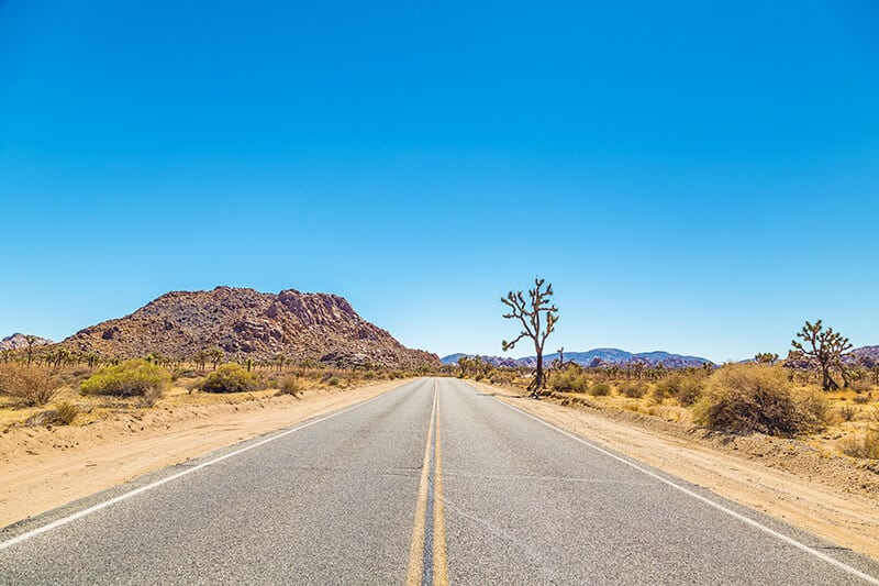 Strada principale nel parco nazionale del Joshua Tree in California