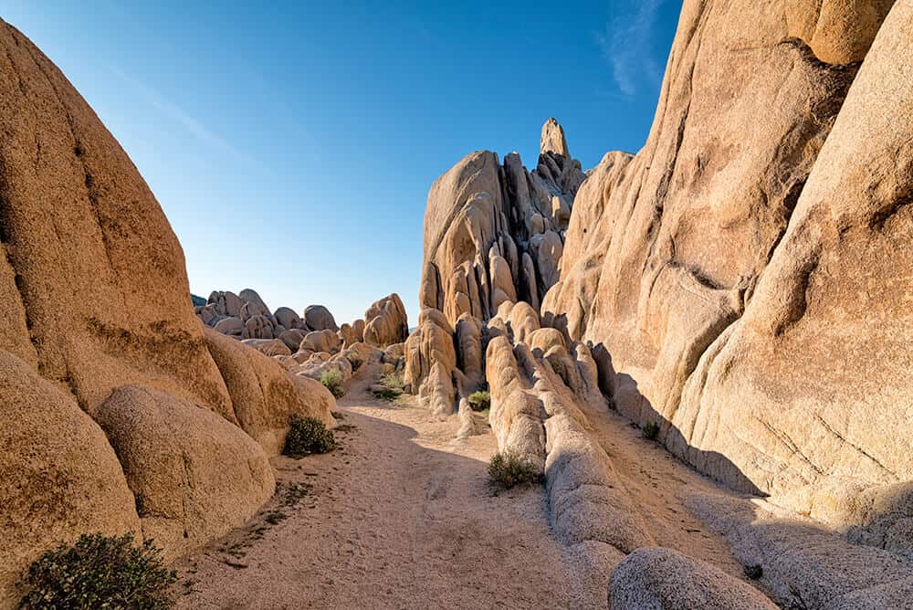 Rocky hiking trail inside Joshua Tree National Park