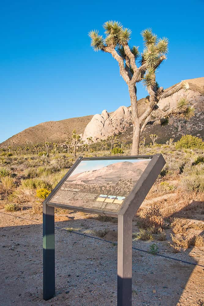 One of the marked trails at Joshua Tree National Park