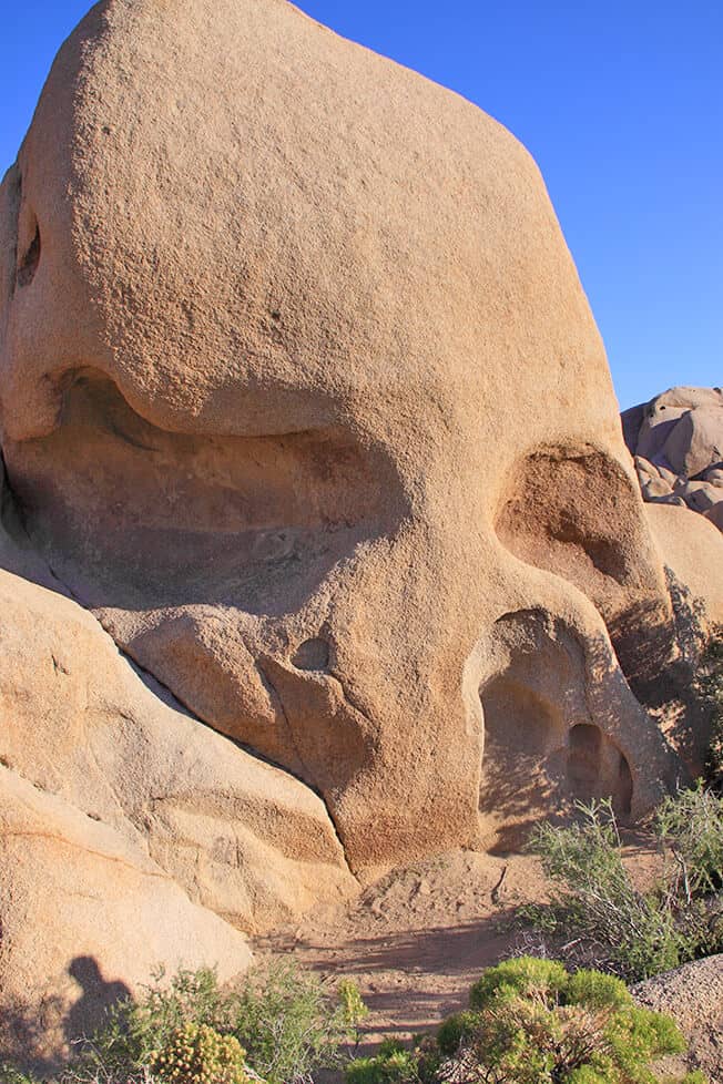 View of Skull Rock at Joshua Tree