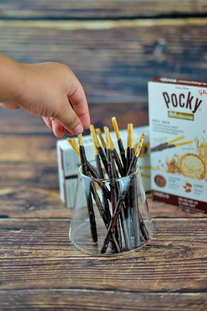 Pocky sticks from Japan