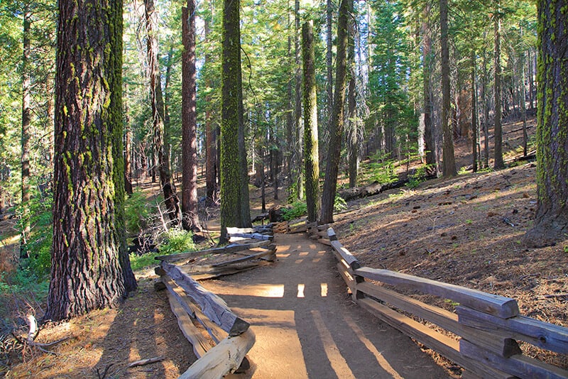 Trekking a Tuolumne Meadows (California)