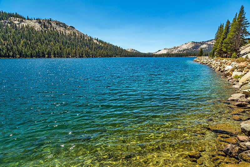 Turquoise water at Tenaya Lake