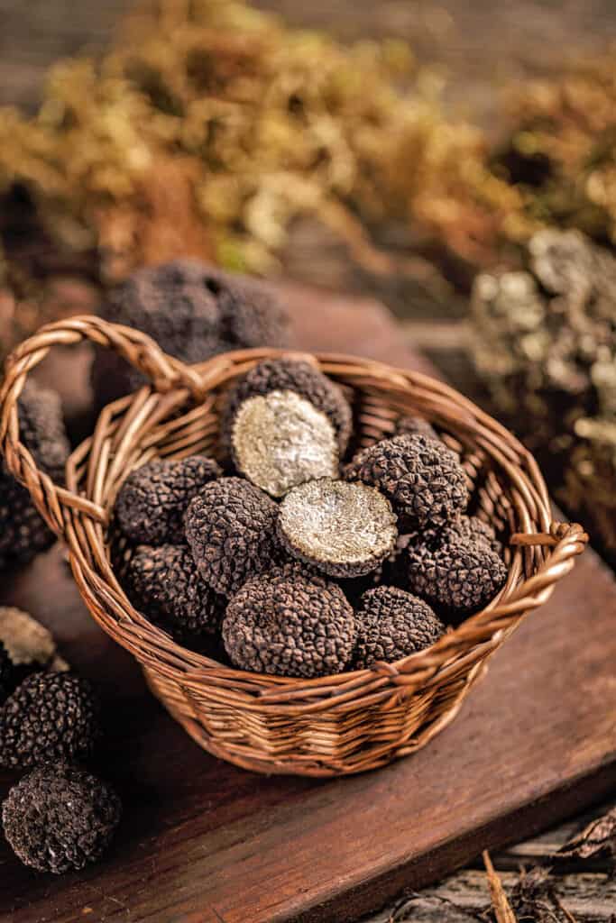 Abruzzese truffles in a basket